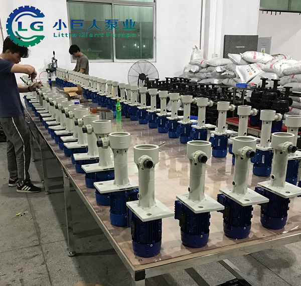 ����ʴ�����ü��